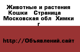 Животные и растения Кошки - Страница 2 . Московская обл.,Химки г.